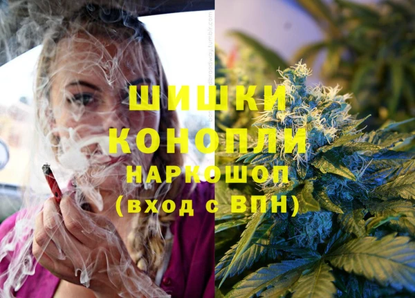 прущие грибы Михайловка